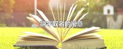 ​翮字取名的寓意