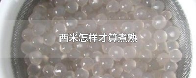​西米怎样才算煮熟