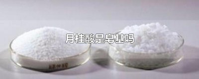 ​月桂酸是皂基吗