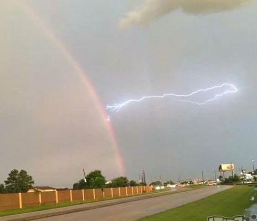 东边日出西边雨,道是无晴却有晴