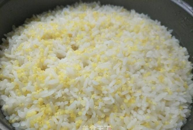 蒸小米和蒸大米哪个热量高