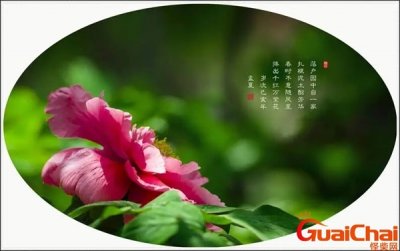 ​唯有牡丹真国色什么意思 唯有牡丹真国色全诗及释文