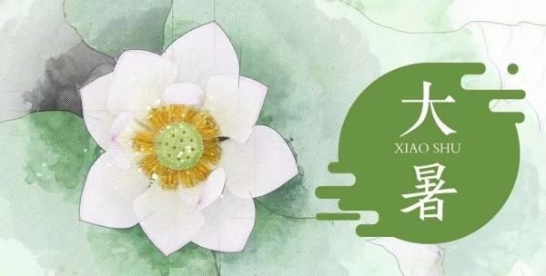 大暑节气的含义是什么,大暑节气的含义是什么意思图4