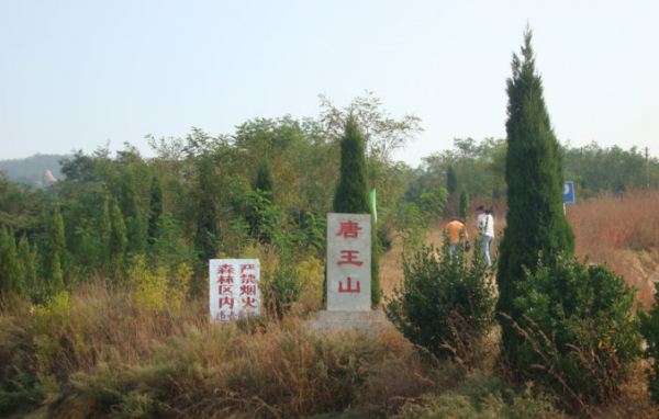 五龙山风景区在哪里,五龙山在哪图3