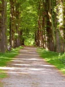 ​感触颇深的意思(感触是什么意思)