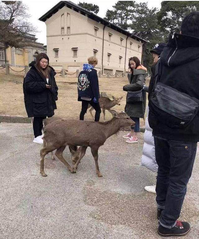 烂剧《甜蜜暴击》为何收视率爆表？这要从鹿晗关晓彤的爱情说起！