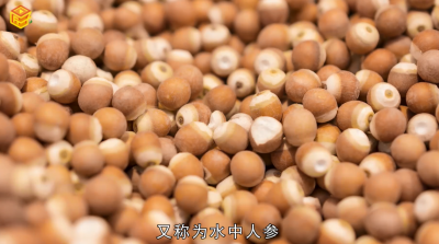 ​鸡头米是什么