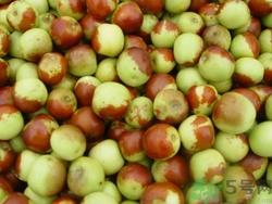 冬枣的热量高吗?冬枣的做法 冬枣的热量高吗?冬枣的做法