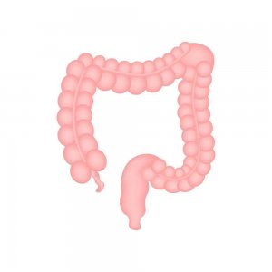 ​横结肠不舒服有啥症状吃什么药 横结肠不舒服有啥症状表现