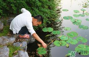 四月份可以钓黄鳝吗?4月份可以钓黄鳝吗? 四月份可以钓黄鳝吗?4月份可以钓黄鳝吗?