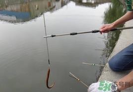 四月份可以钓黄鳝吗?4月份可以钓黄鳝吗? 四月份可以钓黄鳝吗?4月份可以钓黄鳝吗?