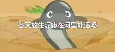 ​冬天放生泥鳅在河里能活吗（冬天泥鳅放生到河里会怎样）