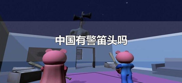 中国有警笛头吗