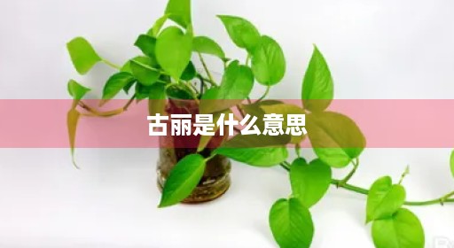 古丽寻宝黑维吾尔族新疆人是什么虎热比意思热比