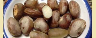 ​菠萝蜜的籽可以吃吗有什么功效呢 菠萝蜜怎么吃籽有啥用处