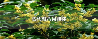 ​农历八月的雅称哪个最好 阳历八月雅称