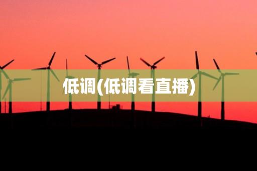 低调(低调看直播)