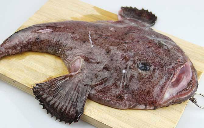 安康鱼价格多少一斤：安康鱼