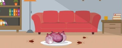 ​怎么把蟑螂引出来