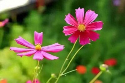 ​换个心情看人生快乐其实很简单！10句话换个心态，会活得轻松随心