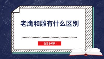 ​老鹰和雕有什么区别