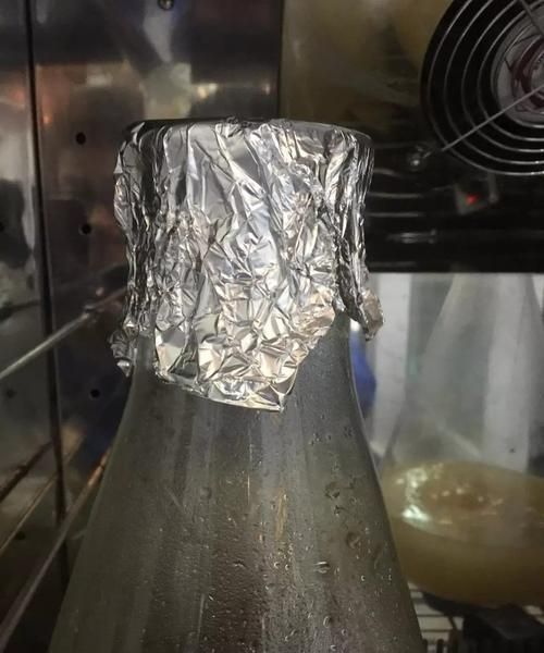 养乐多怎么喝效果好