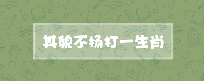 其貌不扬打一生肖