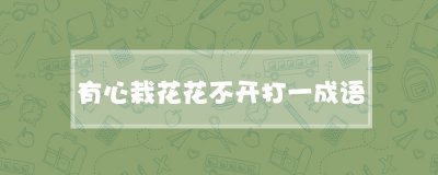 ​有心栽花花不开打一成语