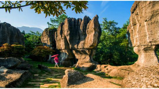 第四天:石林景区(游览)