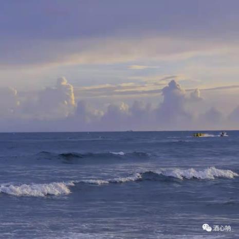 看潮起潮落望云卷云舒原文