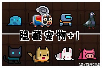 ​bug是什么意思梗（bug什么意思中文意思是什么意思啊）