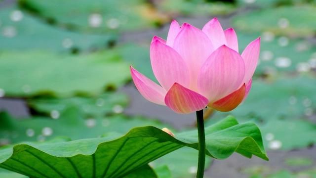 7月再见8月你好的句子,一个半月发朋友圈的句子?图3