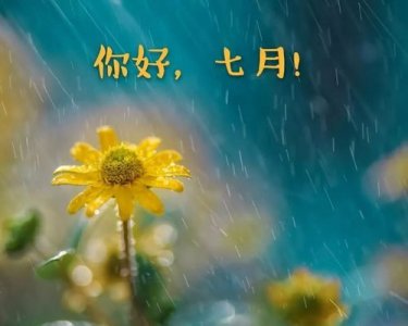 ​7月再见8月你好的句子，一个半月发朋友圈的句子？
