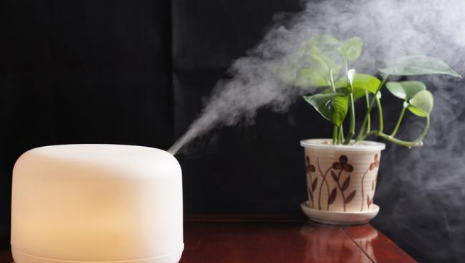 加湿器有雾的好还是没雾的好,加湿器是有雾的好还是无雾的好?图3
