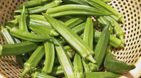 秋葵是酸性还是碱性，秋葵叶子发黄干白，还有锈斑是怎么回事？图8