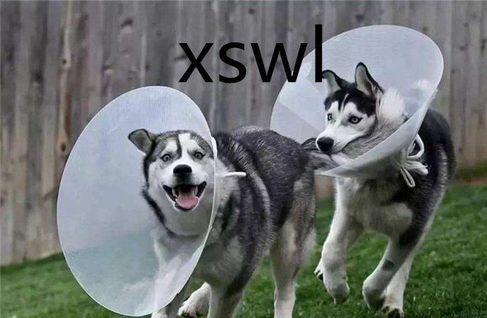 xswl是什么意思网络用语