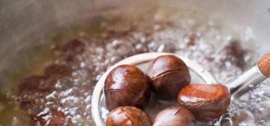 板栗怎样保存不会坏最好的方法