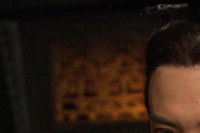 ​嬴辛是嬴驷什么人