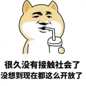 ​少年武功极高失传已久的武林绝学（欲练神功挥刀自宫）