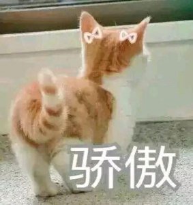 ​假发基本知识大全（知道这些就再也不怕被坑了）