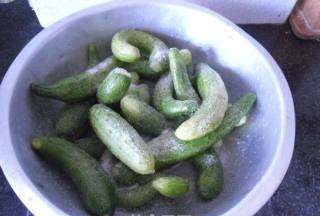 酱瓜原料是什么瓜,北京酱瓜的腌制方法视频图4