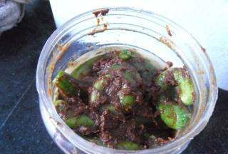 酱瓜原料是什么瓜,北京酱瓜的腌制方法视频图8