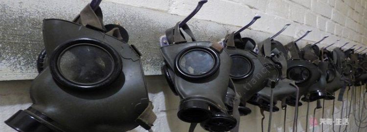 人们从哪些动物身上得到启示发明了防毒面具呢