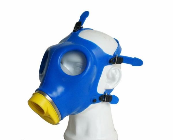 人们从哪种动物身上得到启示发明了防毒面具,人们从哪些动物身上得到启示发明了防毒面具呢图4