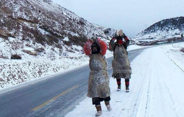 藏族人是朝拜什么（藏族人为什么要去朝拜）(6)