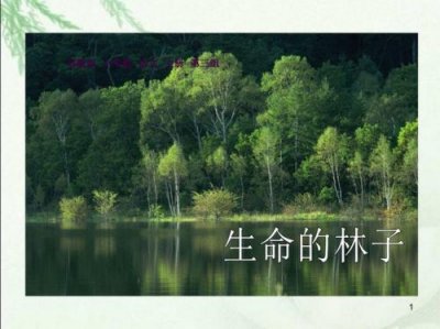 ​生命的林子原文(生命的林子阅读题答案)