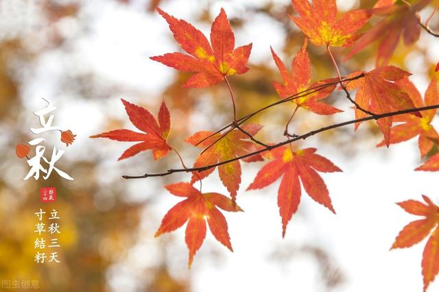 今年何时立秋早秋还是晚秋（双立春闰四月夏至五月端）(4)