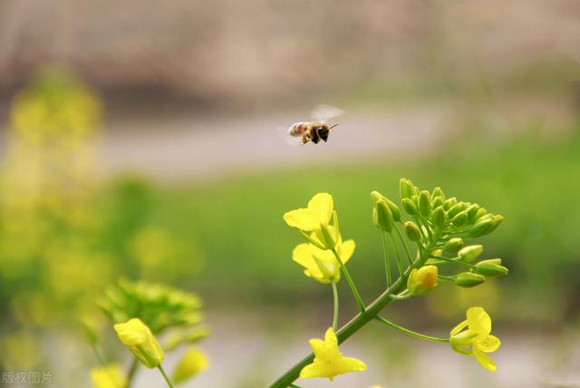 今年何时立秋早秋还是晚秋（双立春闰四月夏至五月端）(1)