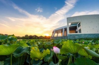 ​上海财大浙江学院