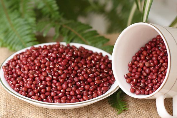 红豆可以天天吃吗 贫血吃红豆可以补血吗